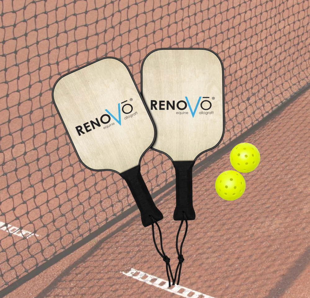 Pickleball Paddle Set